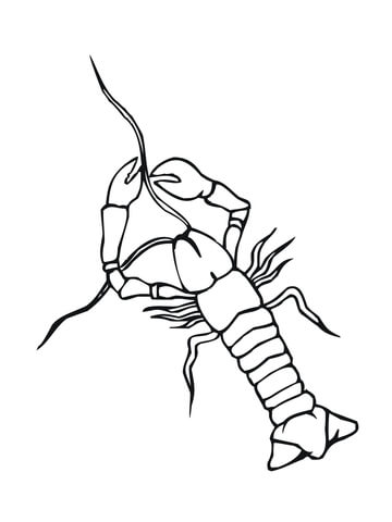 Crayfish Crowfish Coloring Page